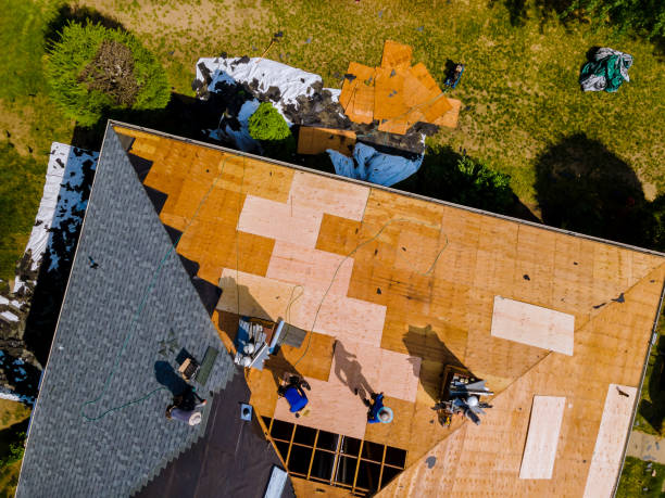 Quick and Trustworthy Emergency Roof Repair Services in West Leechburg, PA