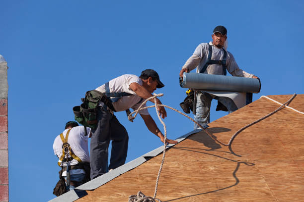 Best Storm Damage Roof Repair  in West Leechburg, PA
